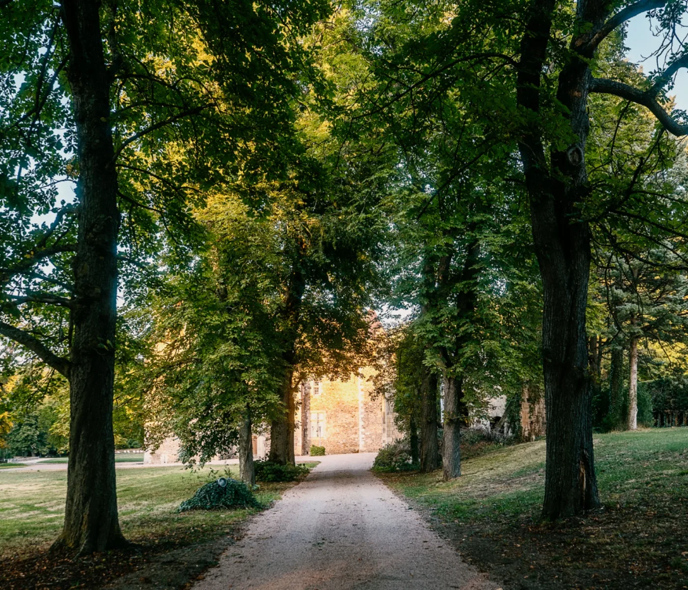 L'allée d'arbres menant au château